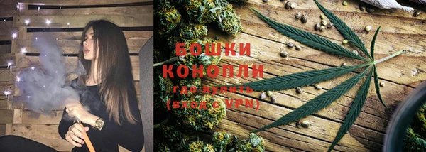PSILOCYBIN Дегтярск