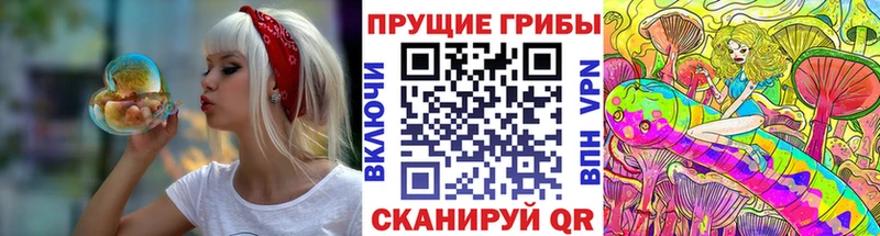 Галлюциногенные грибы GOLDEN TEACHER  Емва 